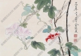 俞致貞國(guó)畫作品 牽牛花蜜蜂 高清下載