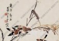 王夢(mèng)白國(guó)畫(huà) 花鳥(niǎo)畫(huà)17 高清大圖下載