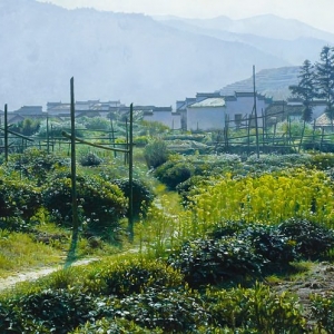 莫大風(fēng)油畫(huà)風(fēng)景《迷失在婺源》欣賞