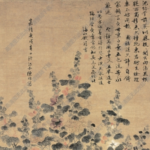 明 陳栝《五色蜀葵圖》國(guó)畫(huà)高清大圖下載