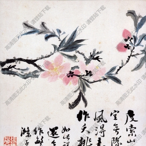 清 石濤《花鳥圖》-8國畫高清大圖下載