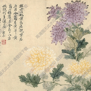 清 惲南田《菊花》國(guó)畫(huà)高清大圖下載