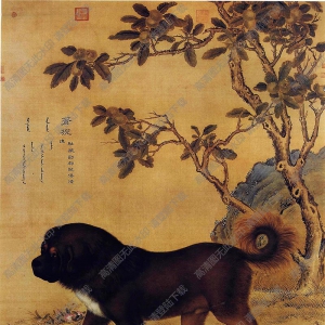 郎世寧 十駿犬圖4-蒼猊 高清名畫下載