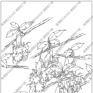 曼陀羅線描畫底稿7高清大圖下載