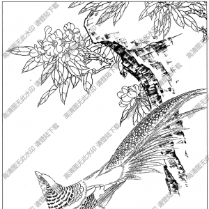 雞線描畫(huà)底稿4高清大圖下載