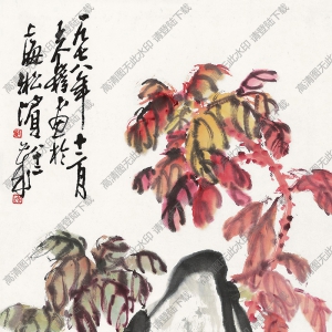 王個簃作品 菊石圖1 高清大圖下載