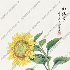 俞致貞國(guó)畫作品 向陽(yáng)花2 高清下載