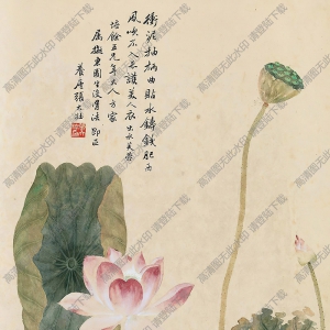 張大壯國(guó)畫(huà) 出水芙蓉 高清大圖下載