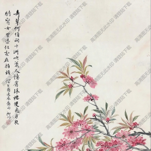 陸抑非國畫作品 桃花八哥 高清下載