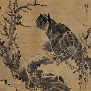 林良國(guó)畫(huà) 蒼鷹 高清大圖下載