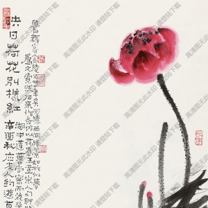 黃養(yǎng)輝國(guó)畫(huà)作品 映日荷花別樣紅 高清下載