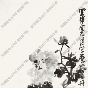 陳子莊國(guó)畫作品 墨牡丹3 高清下載