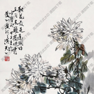 王天一國畫 菊花 高清大圖下載