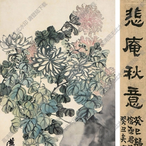 趙之謙國畫作品 菊石圖 高清下載