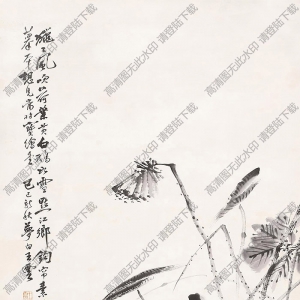 王夢(mèng)白國(guó)畫 花鳥畫3 高清大圖下載