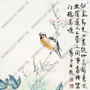 王夢(mèng)白國(guó)畫 花鳥畫4 高清大圖下載