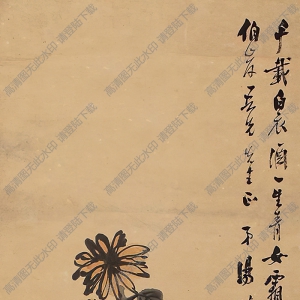 湯定之國(guó)畫(huà) 菊 高清大圖下載