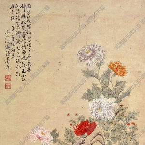 惲壽平國(guó)畫(huà) 秋菊?qǐng)D 高清大圖下載