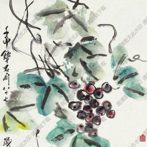 錢(qián)君匋國(guó)畫(huà) 葡萄圖 高清大圖下載