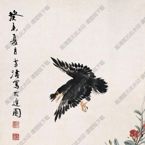 王雪濤國(guó)畫(huà) 八哥展翅圖 高清大圖下載