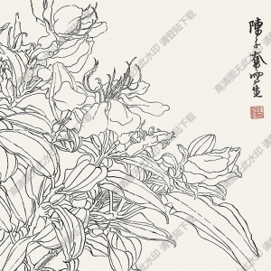 陳子奮國畫 白描花卉 (1) 高清大圖下載