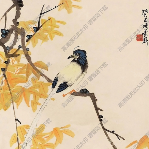 張書旗國(guó)畫 花鳥 (9) 高清大圖下載