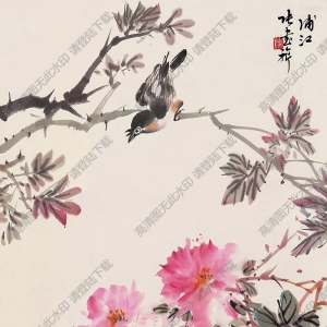 張書旗國(guó)畫 花鳥 (11) 高清大圖下載